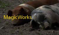 MagicWorks PLC(合信PLC编程软件) 2.16 官方版